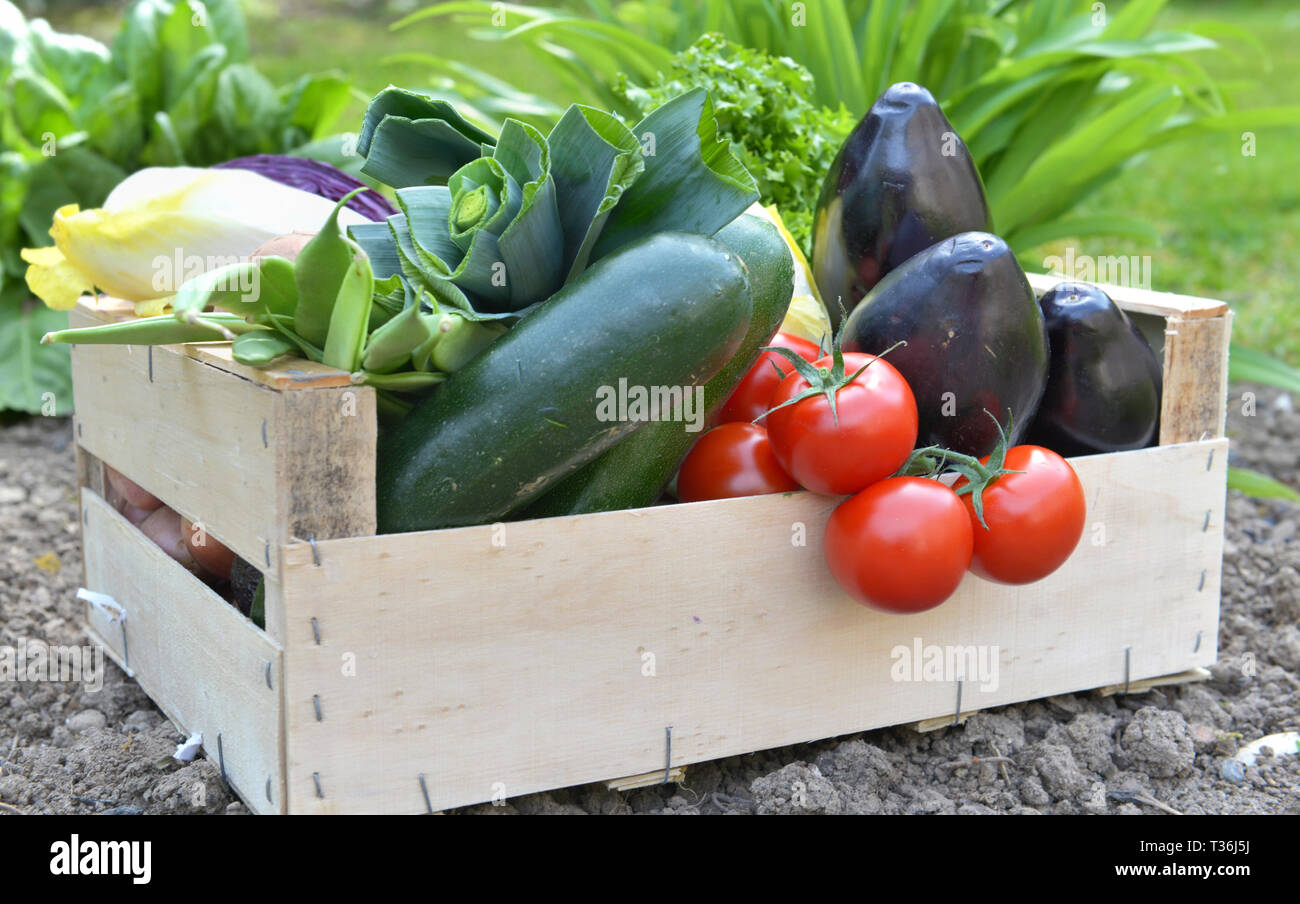Chiudere su carni e verdure colorate in una cassa messo a terra in un giardino Foto Stock