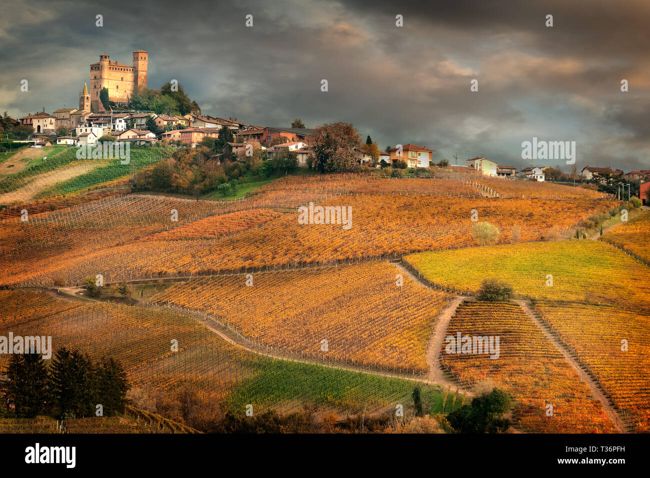 Serralunga d'Alba, villaggio in Barolo, Langhe, Piemonte, Italia Foto Stock