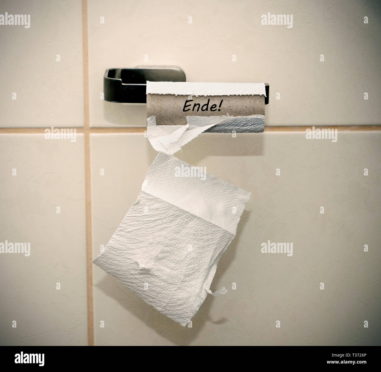 Svuotare loo roll Foto Stock