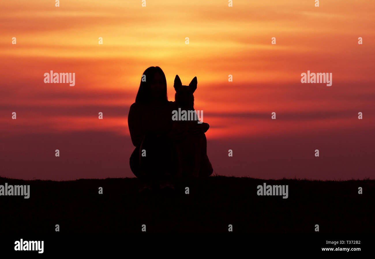 Sagome al tramonto, ragazza e cane contro lo sfondo di un incredibile tramonto, belga cane pastore Malinois, coccole Foto Stock