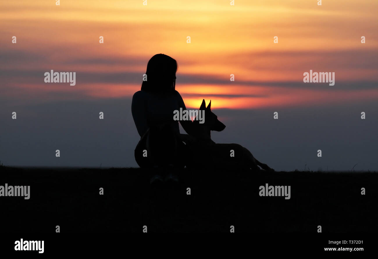 Sagome al tramonto, ragazza e cane contro lo sfondo di un incredibile tramonto, belga cane pastore Malinois, coccole Foto Stock