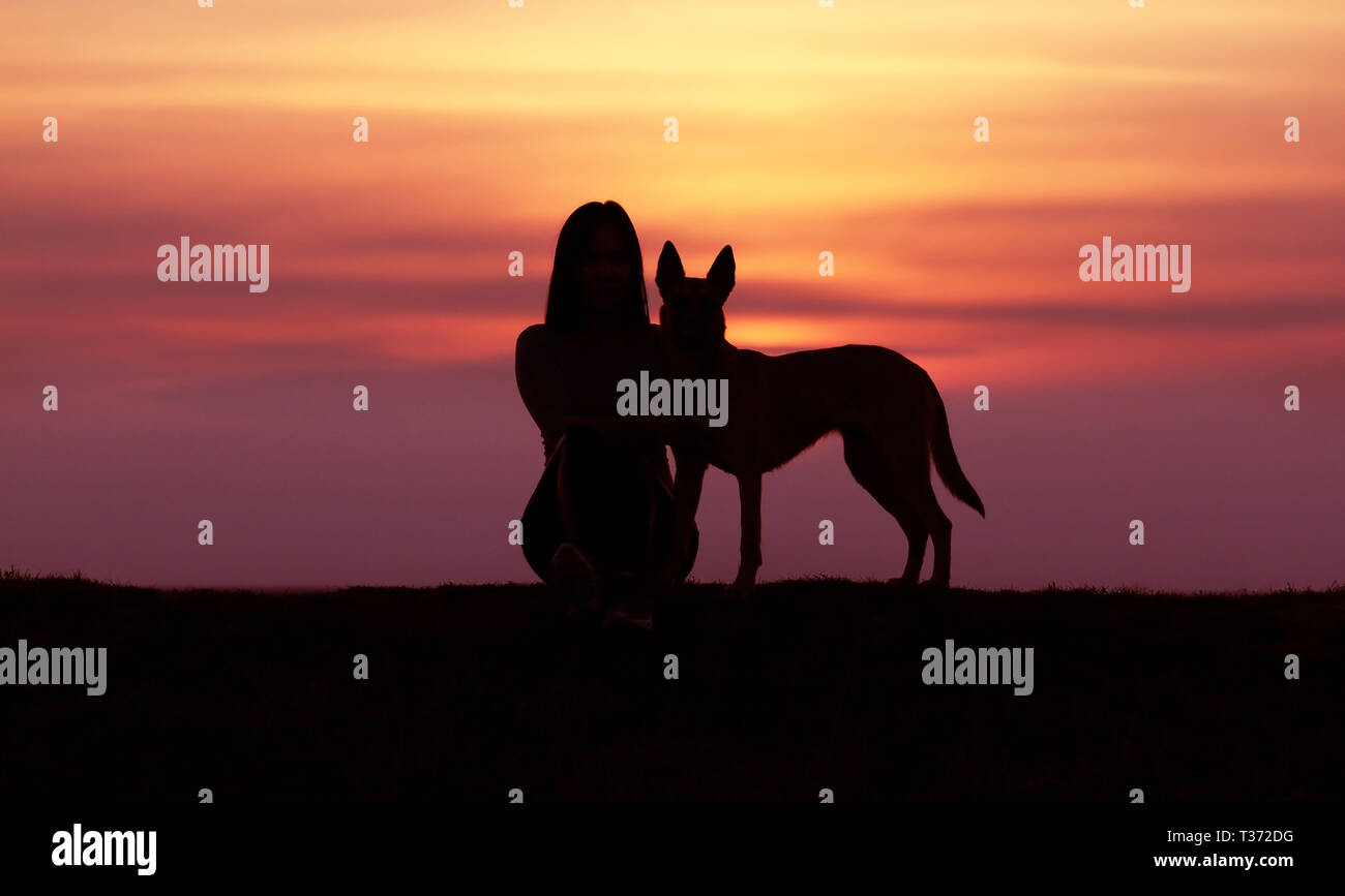 Sagome al tramonto, ragazza e cane contro lo sfondo di un incredibile tramonto, belga cane pastore Malinois, coccole Foto Stock