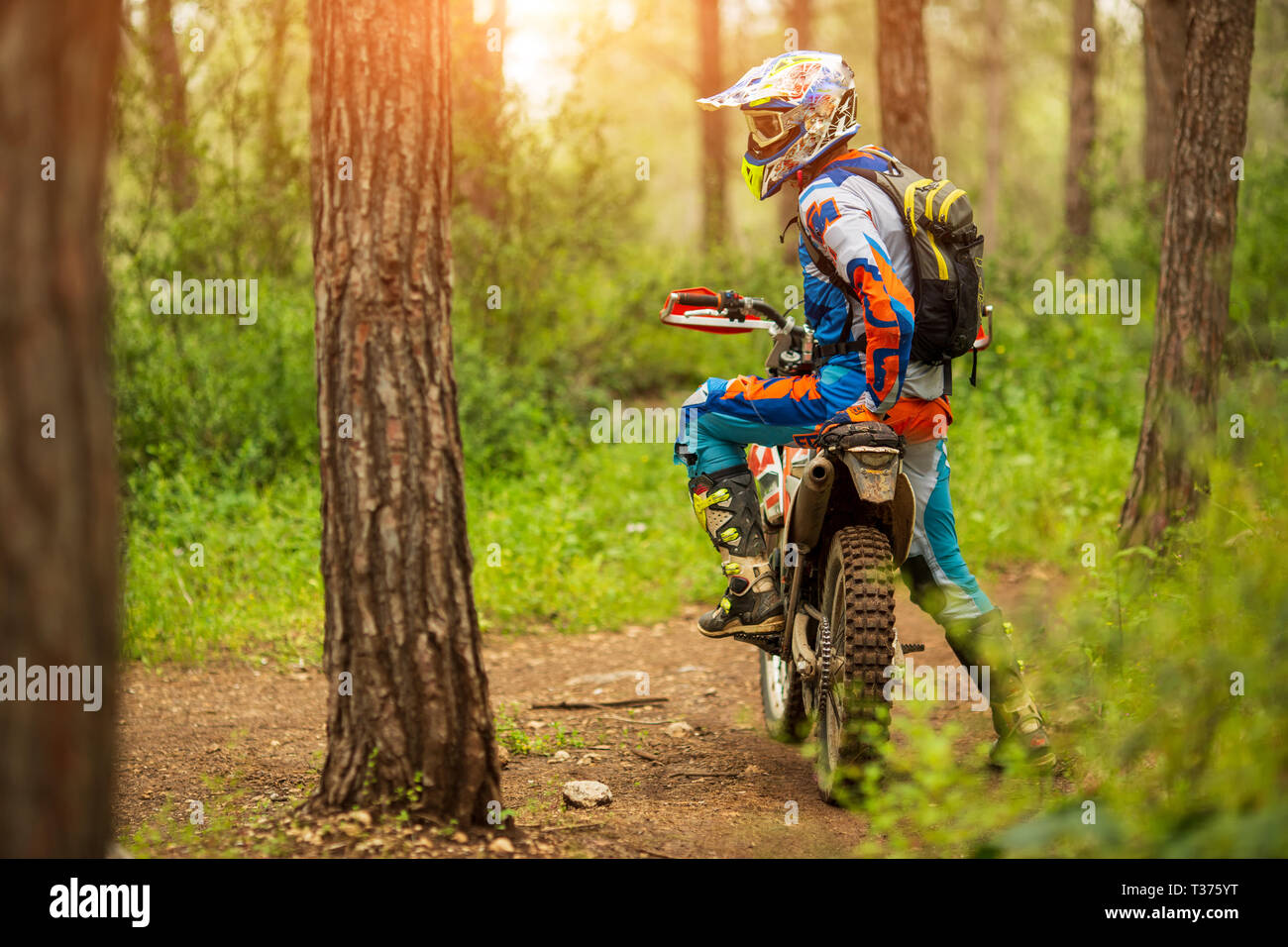 Driver di Motocross nella foresta. motociclo driver ricerca, concetto, uno stile di vita attivo Foto Stock