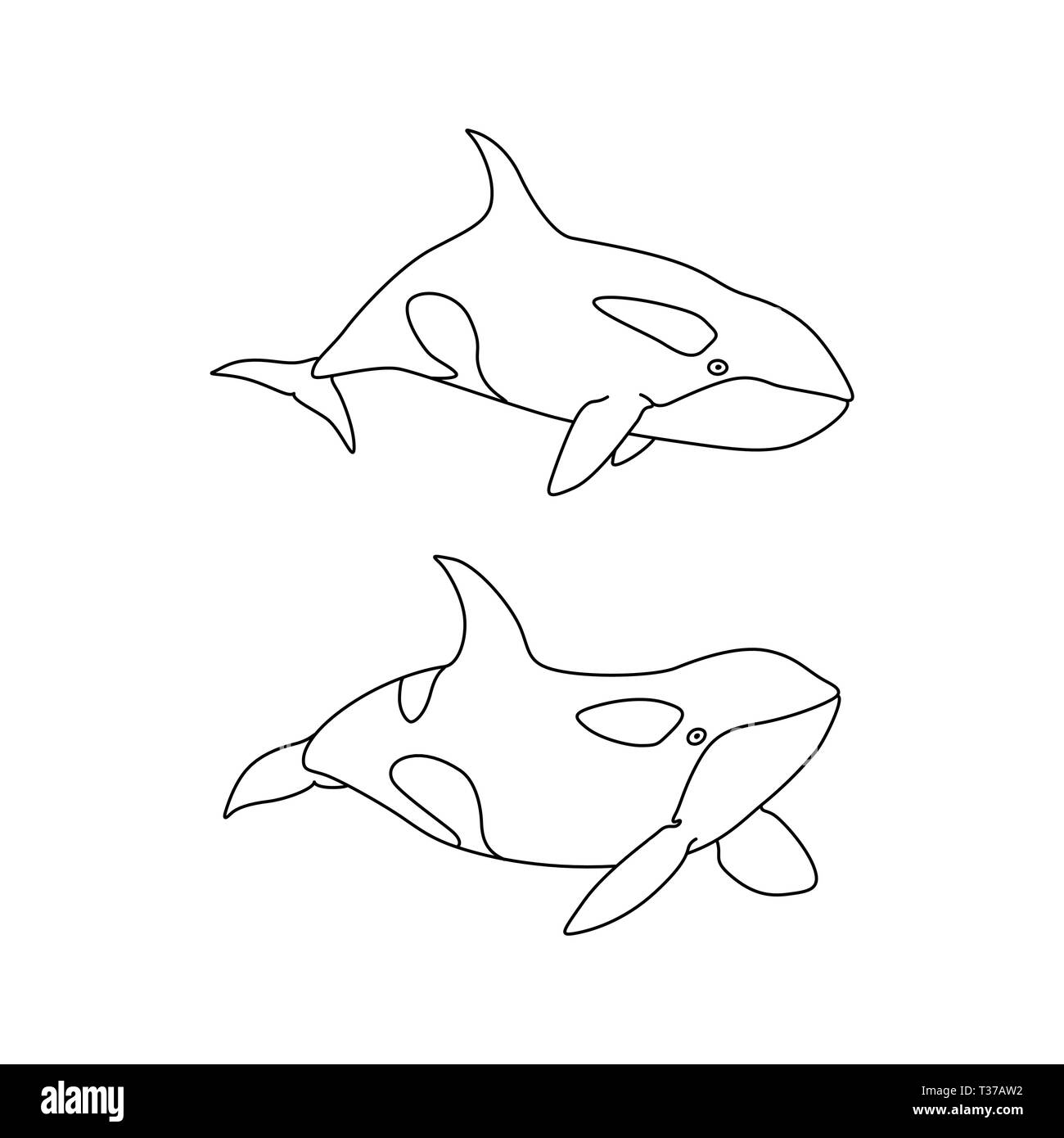 Illustrazione Vettoriale di balena killer impostare contorno. Line art cartoon animale marino Orca Illustrazione Vettoriale