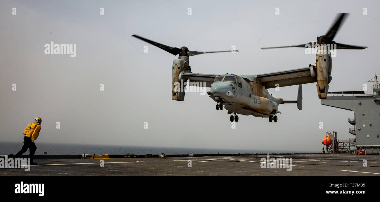 Stati Uniti Navy Sailor Petty Officer 2a classe Onyx Ashe, un'aviazione di boatswain mate a bordo della USS Lewis B. estrattore (ESB 3), dirige una MV-22B Osprey volato da U.S. Marines attaccato a scopo speciale Marine Air Ground Task Force Response-Central crisi comando, durante un ponte di atterraggio esercizio di qualificazione nel Golfo Arabico, 24 marzo 2019. Un Marine Air Ground Task Force è progettato specificamente per essere in grado di dispiegare aviation, massa e forze di logistica in avanti con un preavviso di pochi istanti. (U.S. Marine Corps photo by Lance Cpl. Mackenzie Binion) Foto Stock