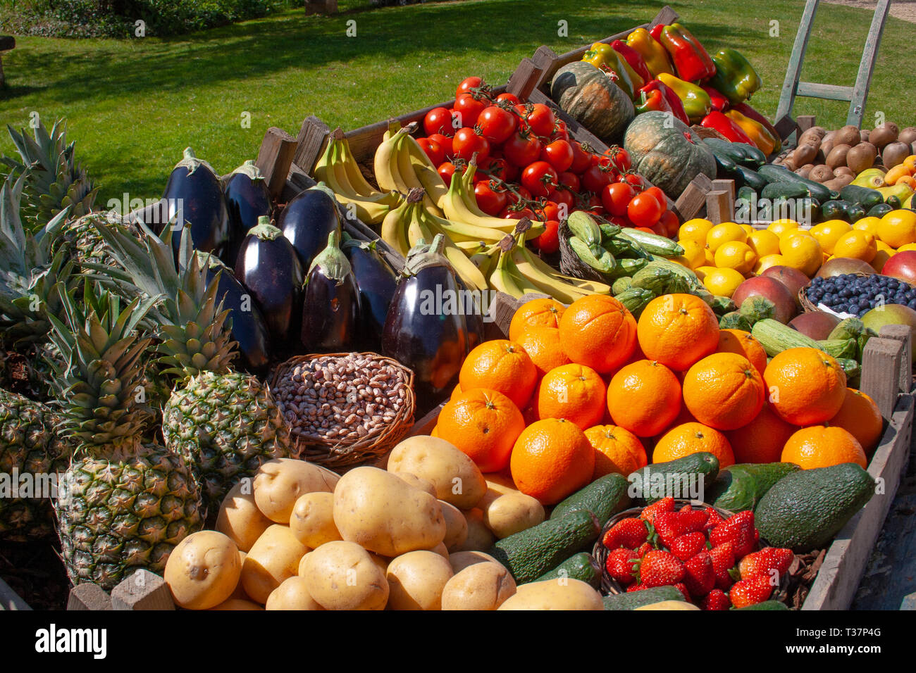 Bella composizione di varie carni fresche e mature ortaggi biologici e frutta in scatole di legno in un mercato Foto Stock