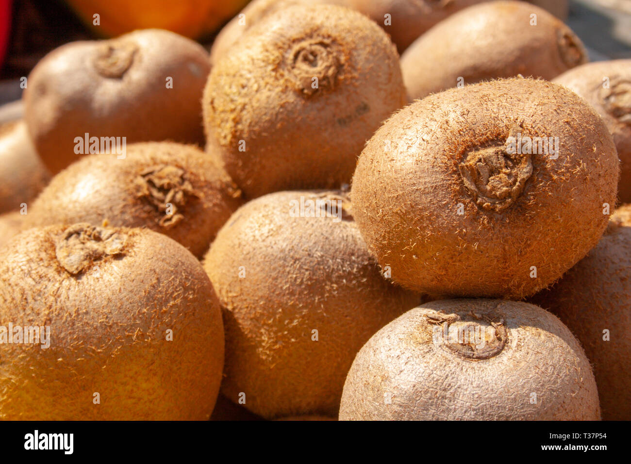 Kiwi freschi come sfondo, sotto il sole, frutto primaverile, close up Foto Stock