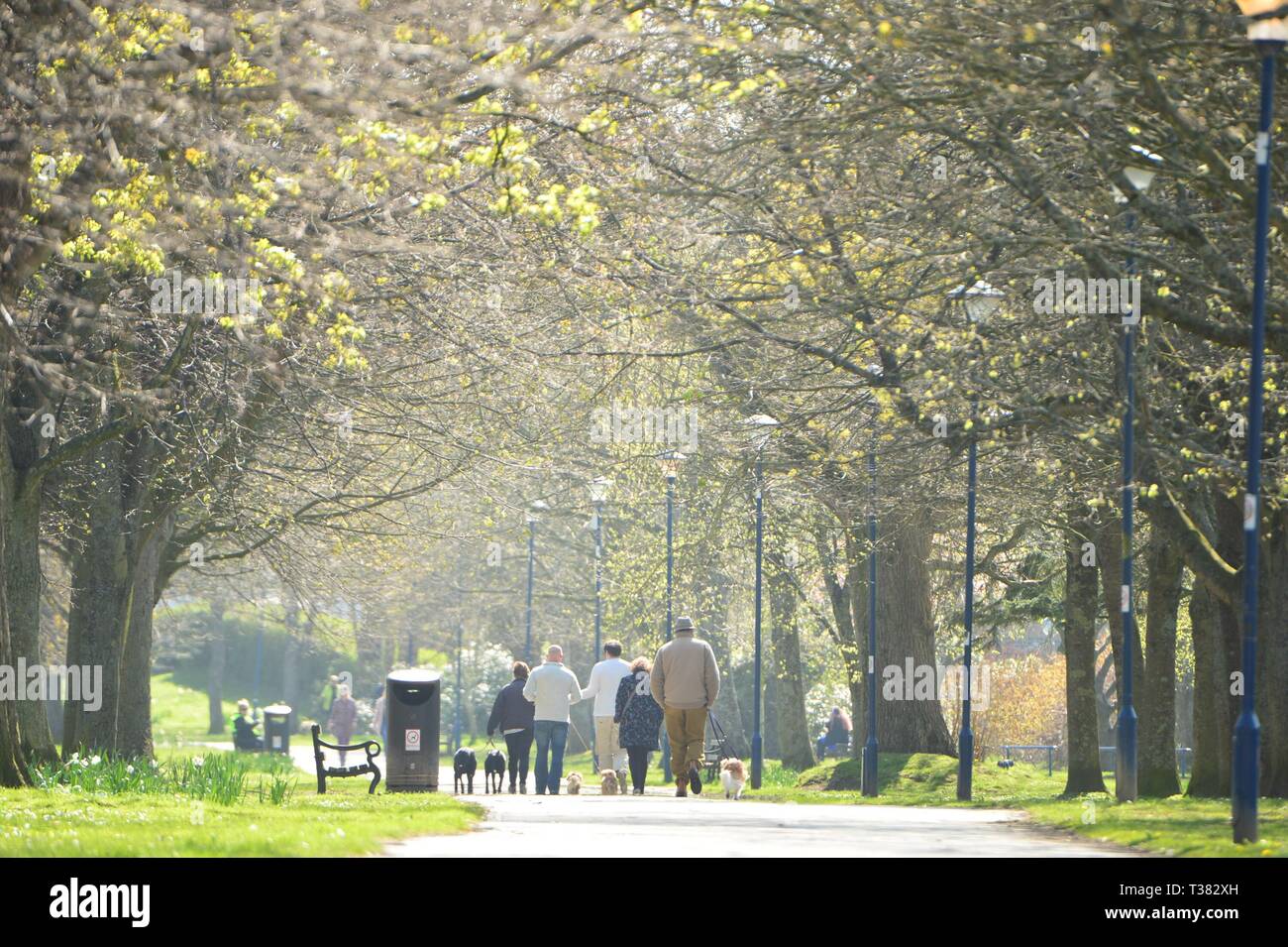 Aberystwyth, UK. 07 apr, 2019.domenica 07 aprile 2019. Un gloriosamente soleggiato e caldo aprile mattina di primavera in Aberystwyth Wales foto © Keith Morris / Alamy Live News Foto Stock