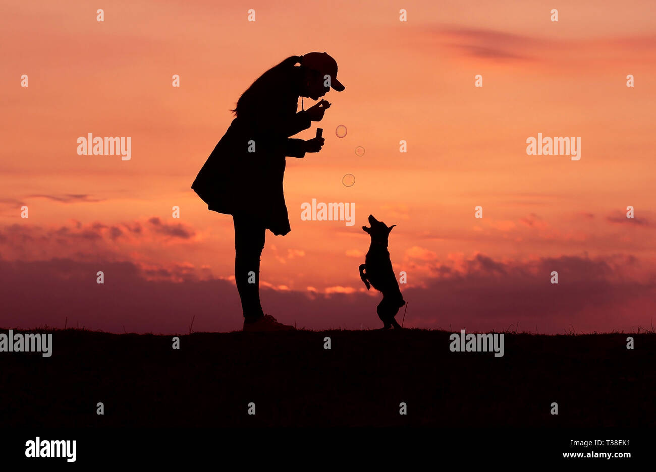 Sagome ragazza e cane al tramonto, ragazza soffia bolle, incredibile tramonto, Foto Stock