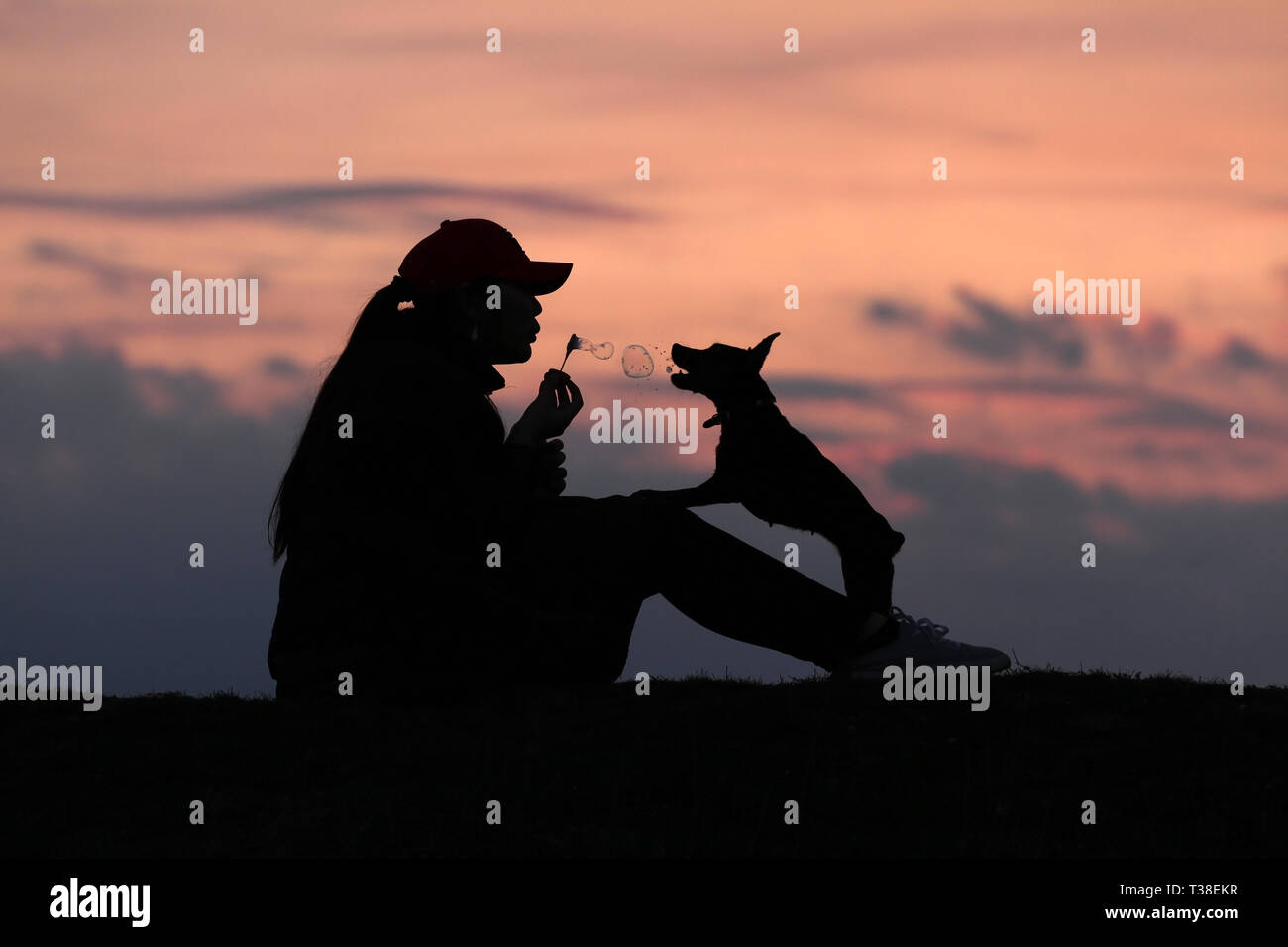 Sagome ragazza e cane al tramonto, ragazza soffia bolle, incredibile tramonto, Foto Stock