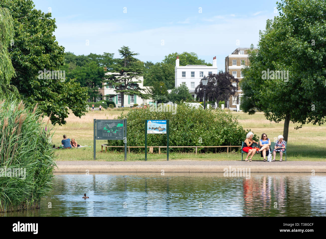 Il Principe di Galles Pond, Paragon Campo, Blackheath, Royal Borough of Greenwich, Greater London, England, Regno Unito Foto Stock