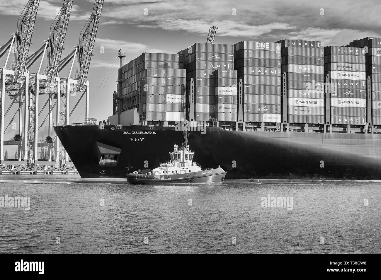 Foto in bianco e nero di un TUG BUFFALO, guida il gigante contenitore UASC Nave, AL ZUBARA, in banchina 5 a Southampton Container Terminal, Hampshire, Foto Stock