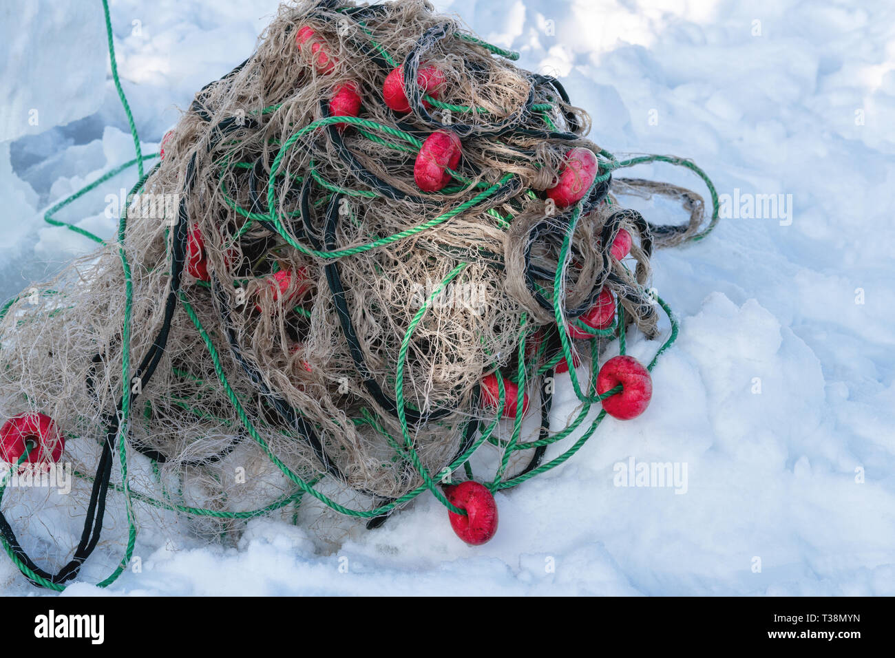 La cattura del pesce con rete da pesca attività outdoor in inverno Foto Stock
