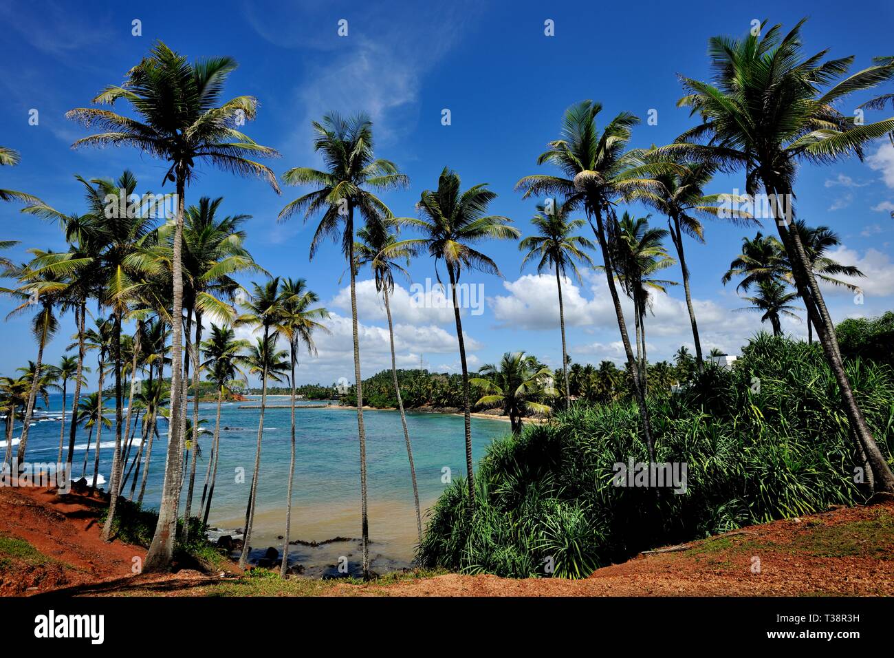 Scenario tropicale di una costa nel sud dello Sri Lanka Foto Stock