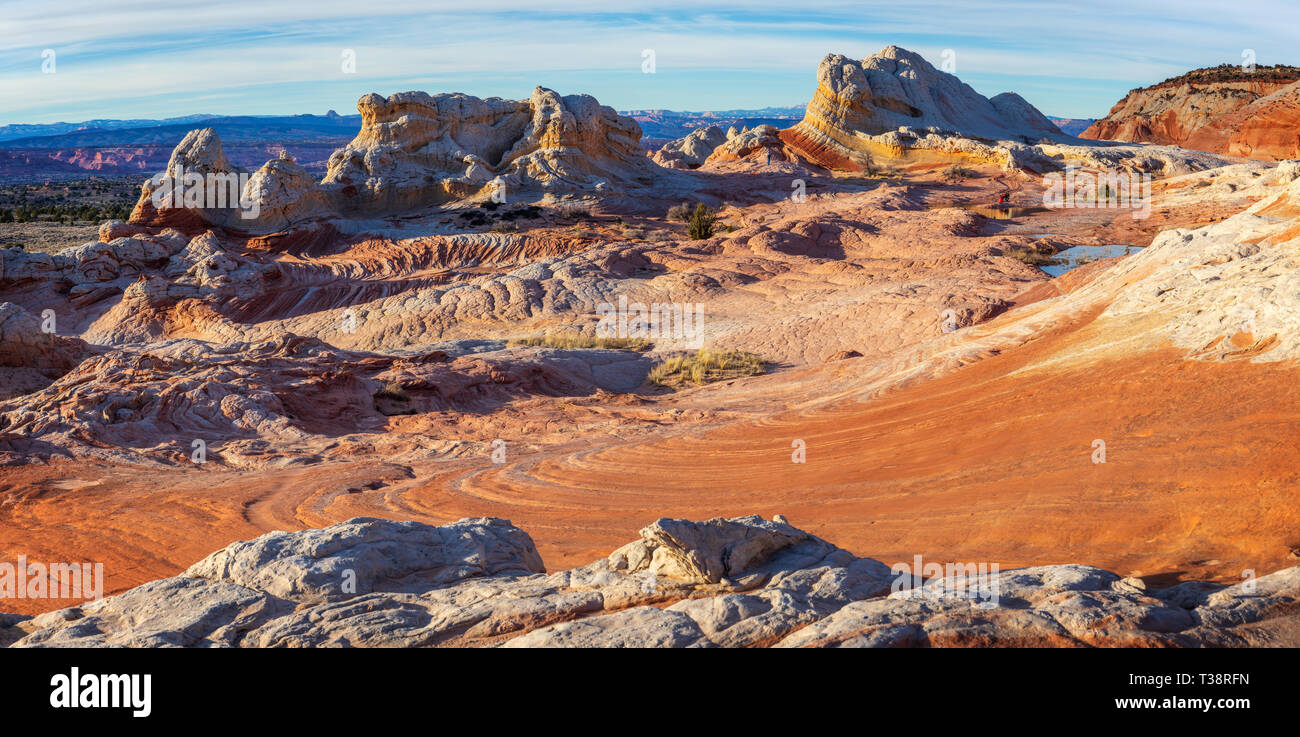 Tasca bianco in Vermillion Cliffs National Monument, Arizona, Stati Uniti d'America Foto Stock