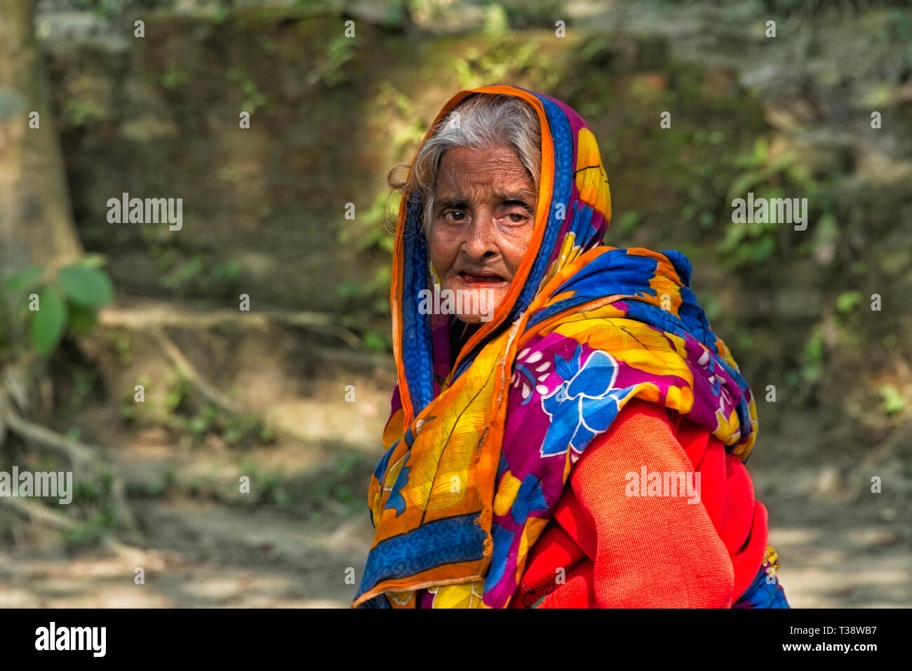 Vecchia donna, Tangail distretto, divisione di Dhaka, Bangladesh Foto Stock