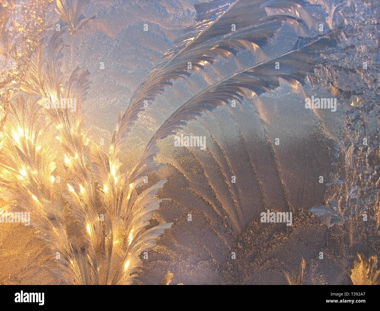 Modello di ghiaccio e la luce del sole sul vetro di inverno Foto Stock