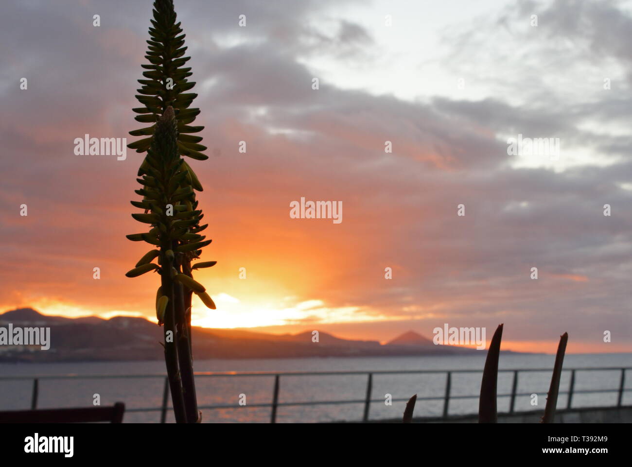 Atardecer en playa de gran canaria. Tramonto in Gran Canaria spiaggia. Foto Stock