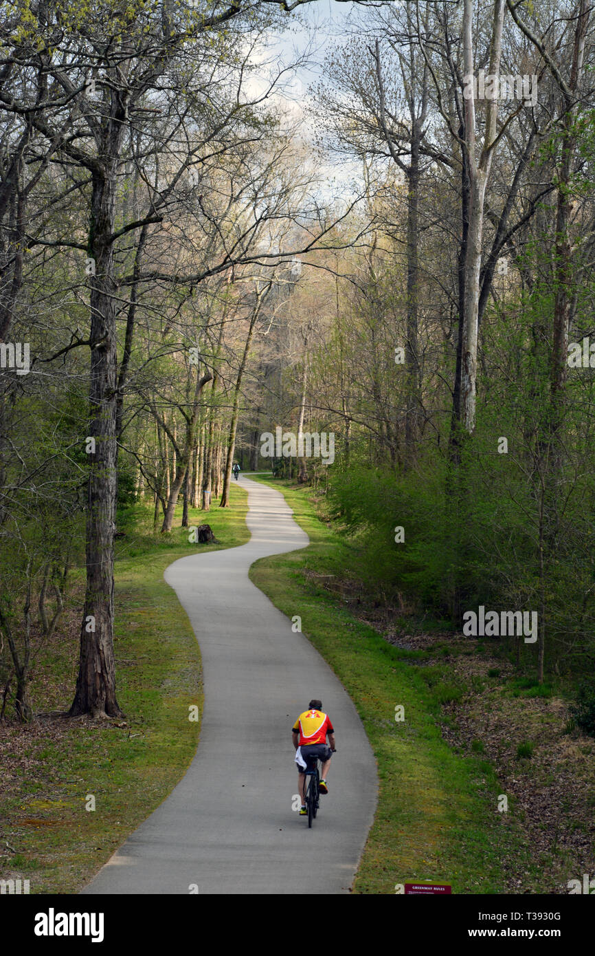 Un ciclista passeggiate attraverso una zona boschiva lungo il fiume Neuse Trail durante una calda giornata di primavera in Raleigh, North Carolina. Foto Stock