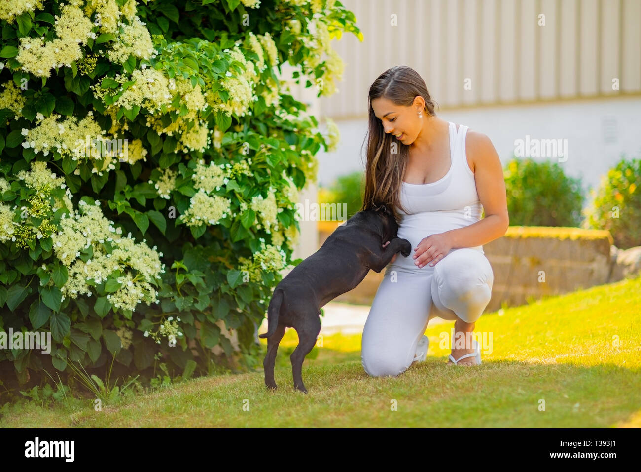 Sorridente donna incinta con una grande pancia gioca con il suo cane in giardino Foto Stock