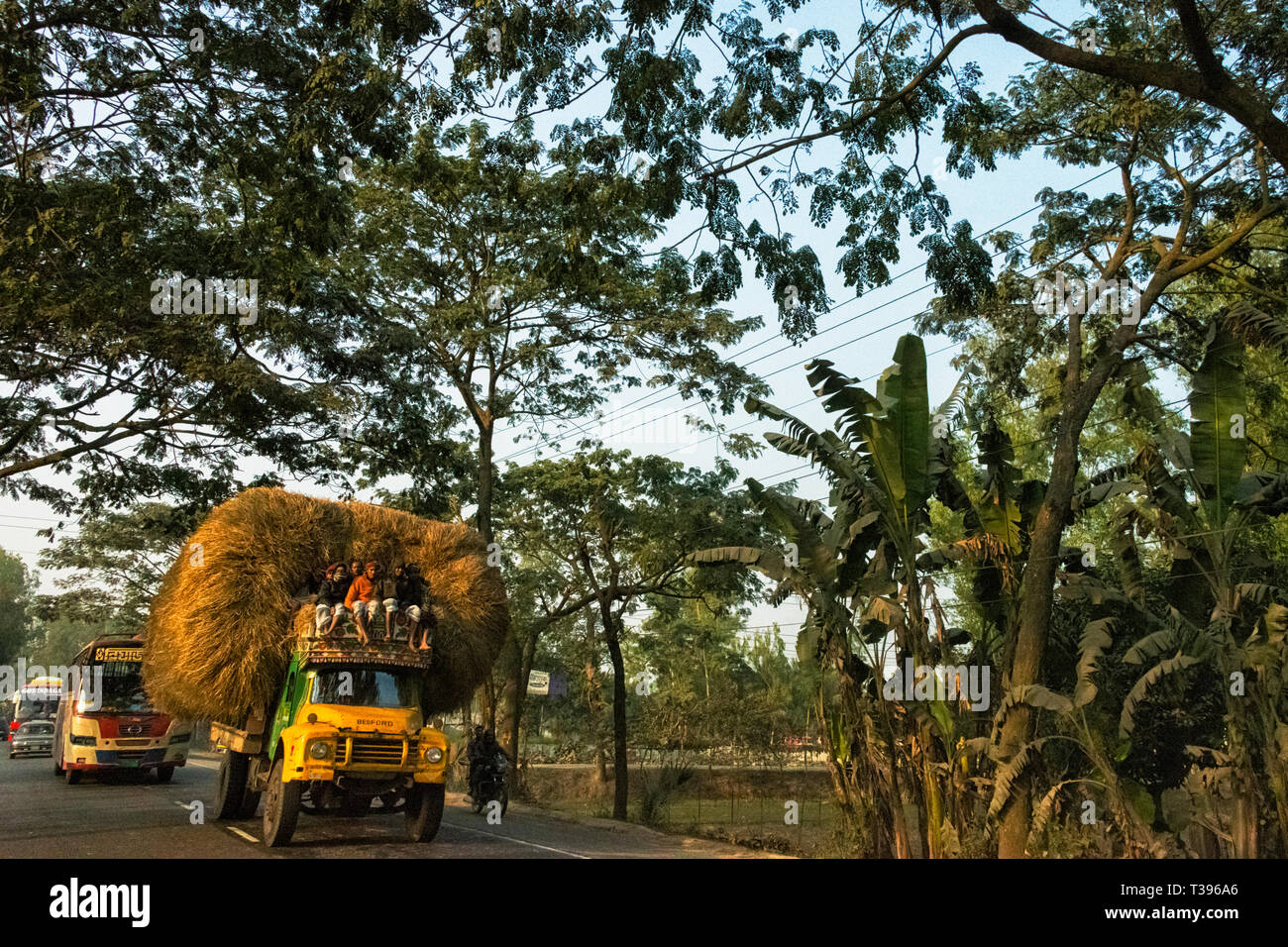 Carrello caricato con un enorme pila di paglia, Bogra distretto, Rajshahi Divisione, Bangladesh Foto Stock