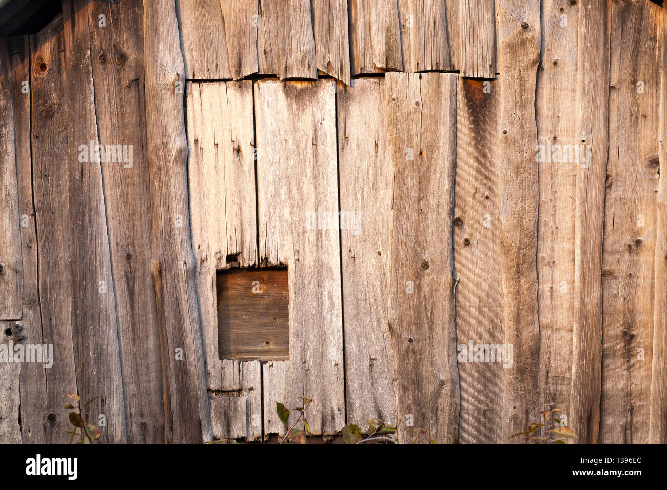 Saliti a bordo entrata a un vecchio fienile in legno, primo piano della parte della parete con una porta Foto Stock