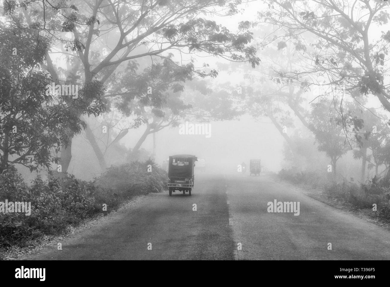 Strada nella nebbia mattutina, Rajshahi Rajshahi Divisione, Bangladesh Foto Stock