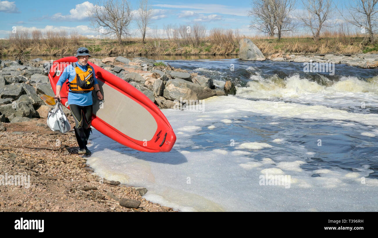 Senior paddler è gonfiabile portaging stand up paddleboard oltre un rapido - South Platte River in primavera scenario con una bassa portata d'acqua. Foto Stock