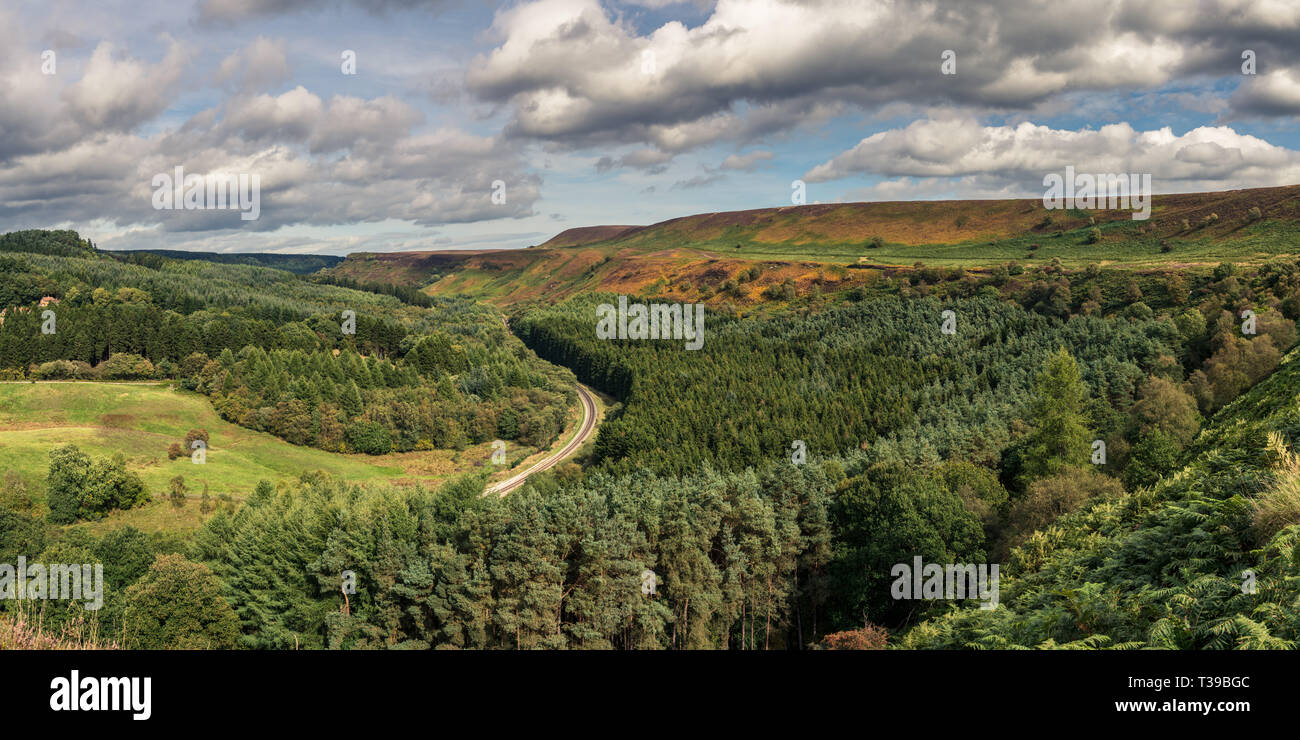 North York Moors paesaggio in Newtondale, visto dal Levisham Moor, North Yorkshire, Inghilterra, Regno Unito Foto Stock