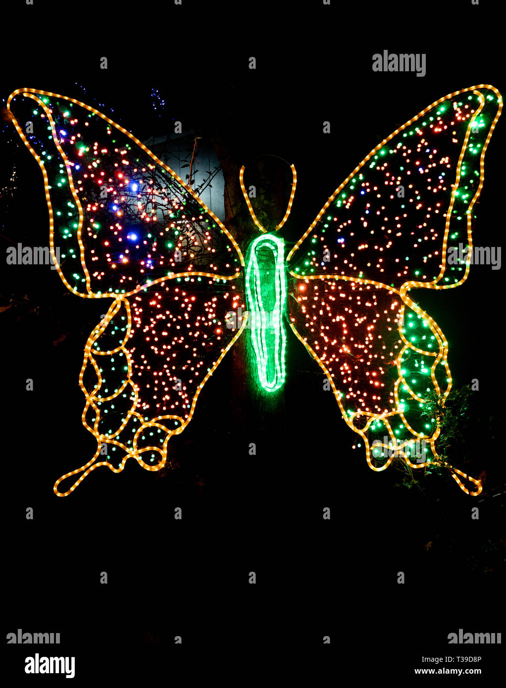 Portland, Oregon - 2018-11-21 - Luce in base butterfly a Oregon Zoo annuale festival invernale, ZooLights Foto Stock