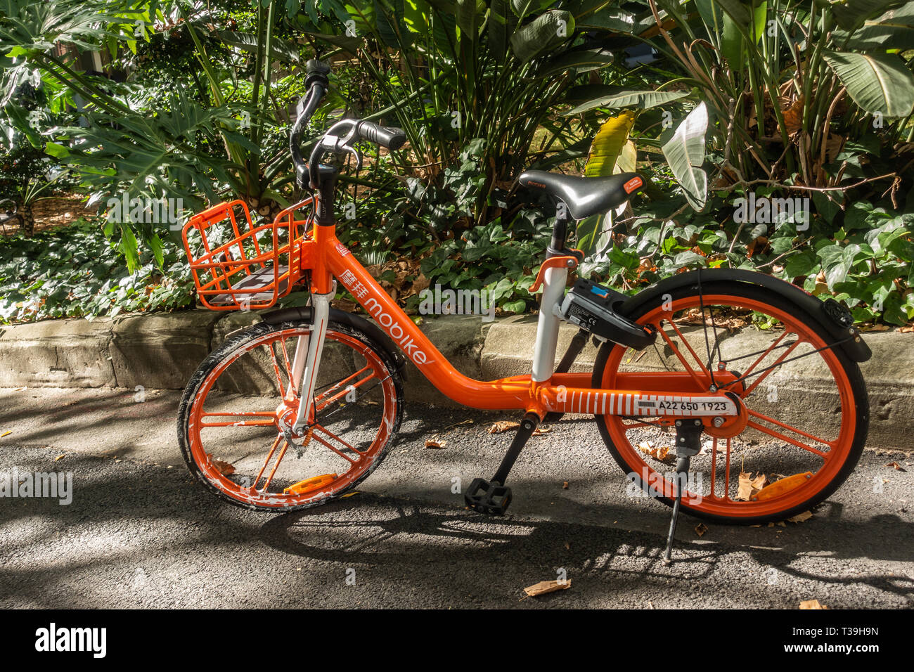 Sydney, Australia - 12 Febbraio 2019: Closeup di parcheggiato arancione bicicletta MOBIKE per affitto come visto in Lang Park. Foto Stock