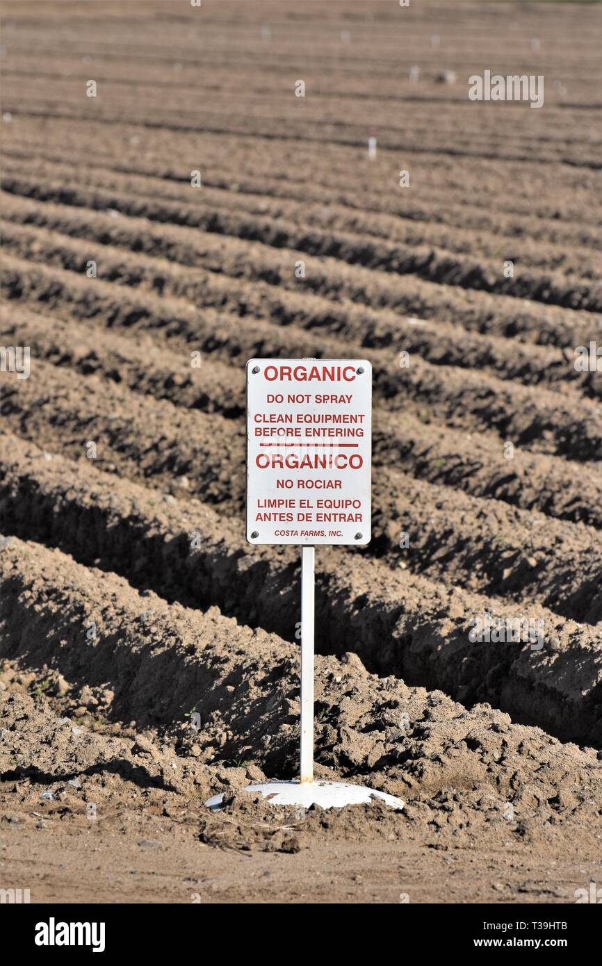 La coltivazione biologica fattoria segno del campo sia in inglese che in spagnolo per tenere fuori tutto ciò che non è organicamente per prodotti alimentari California USA America Foto Stock