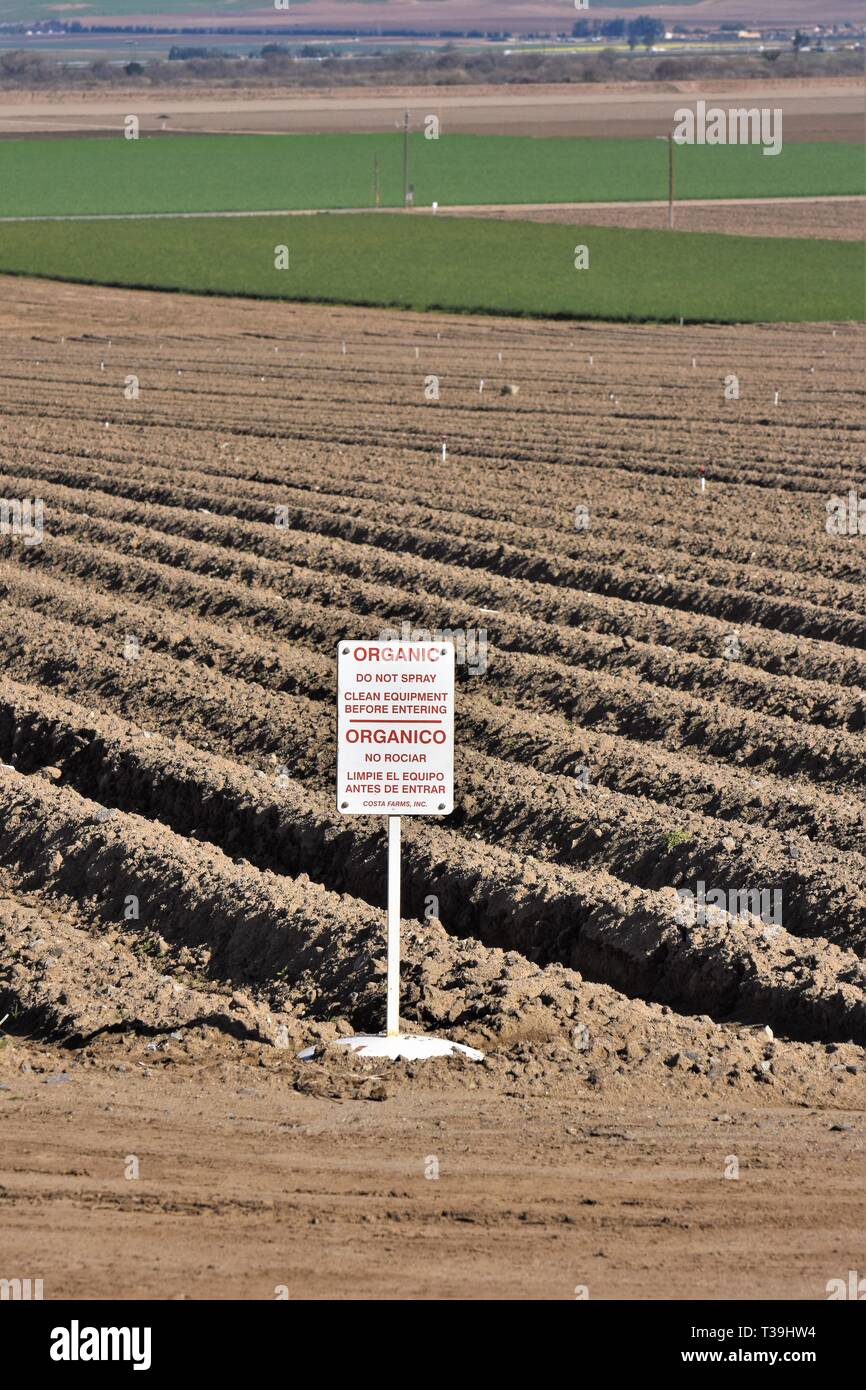La coltivazione biologica fattoria segno del campo sia in inglese che in spagnolo per tenere fuori tutto ciò che non è organicamente per prodotti alimentari California USA America Foto Stock