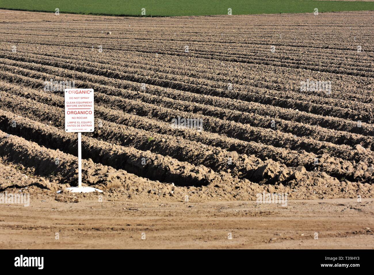 La coltivazione biologica fattoria segno del campo sia in inglese che in spagnolo per tenere fuori tutto ciò che non è organicamente per prodotti alimentari California USA America Foto Stock