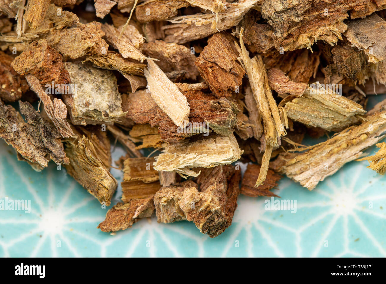 Corteccia di quercia close up, sano erbe curative Foto Stock