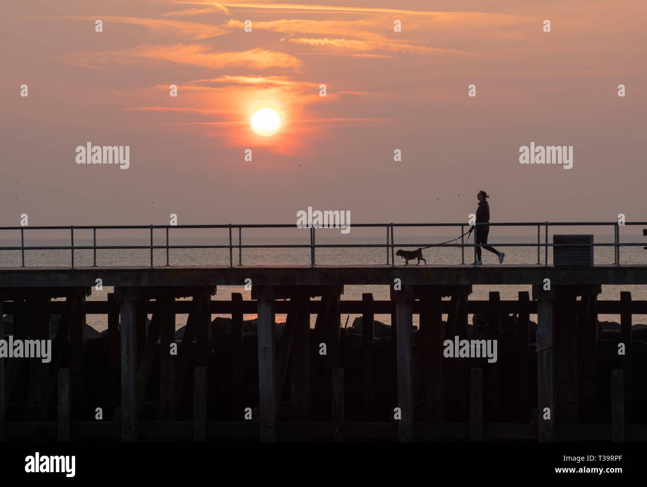 Aberystwyth Wales UK. 07 aprile 2019. Regno Unito: Meteo donna corre con il cane in durante il molo su una soleggiata domenica in Aberystywth, Galles. © Rhodri Jones/ un Foto Stock
