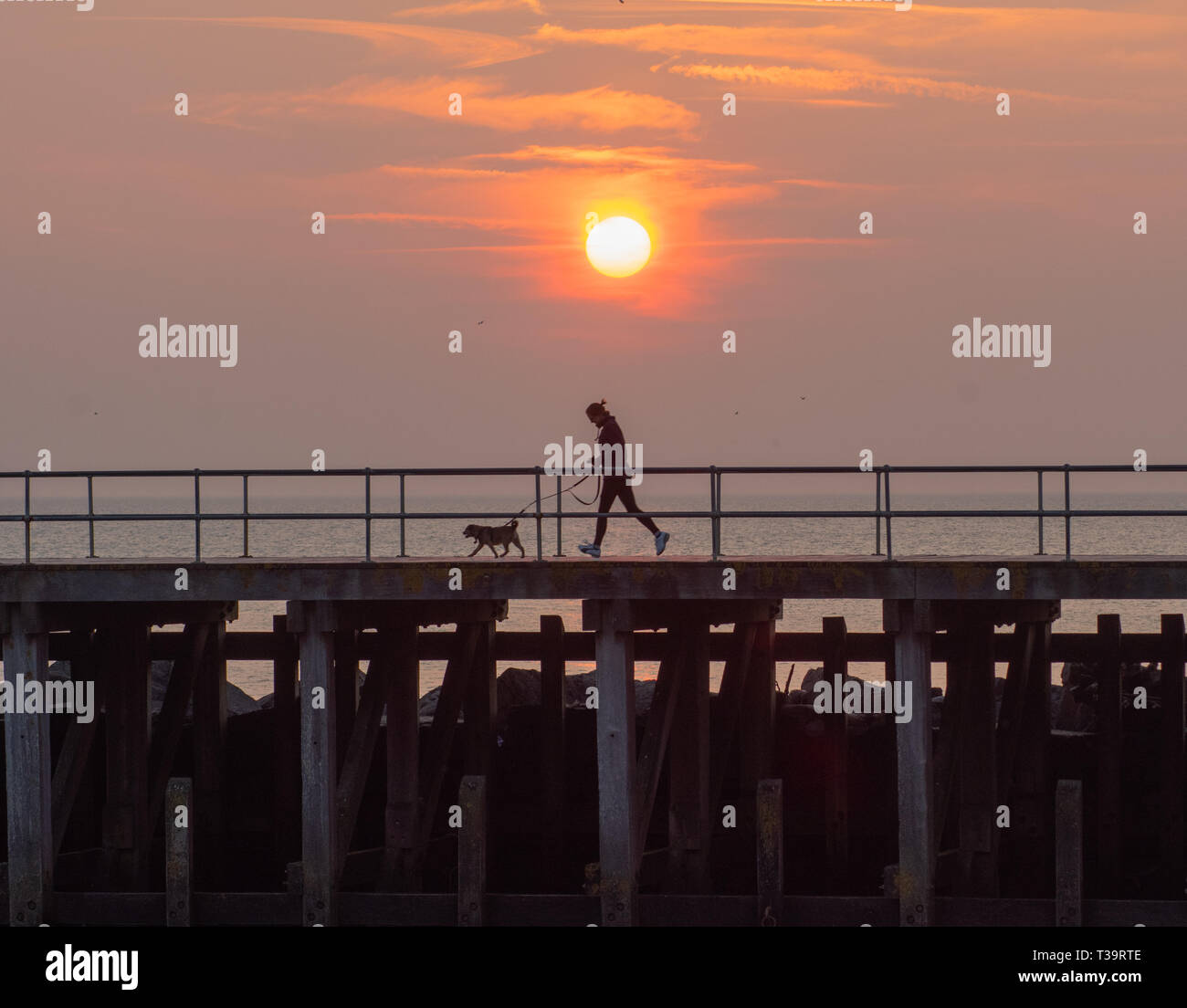 Aberystwyth Wales UK. 07 aprile 2019. Regno Unito: Meteo donna corre con il cane in durante il molo su una soleggiata domenica in Aberystywth, Galles. © Rhodri Jones/ un Foto Stock