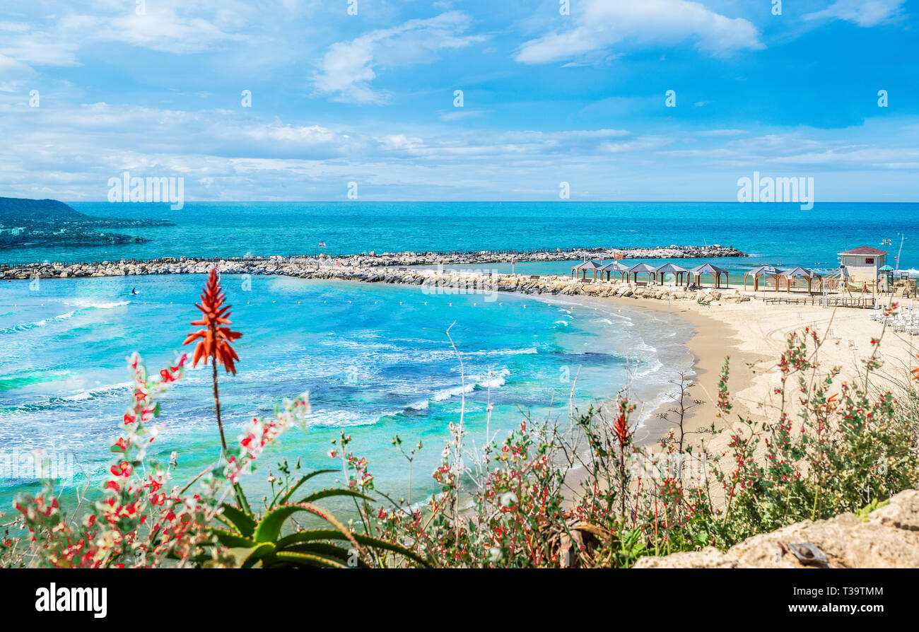 Hilton Bay Beach su Tel Aviv, Israele Foto stock - Alamy