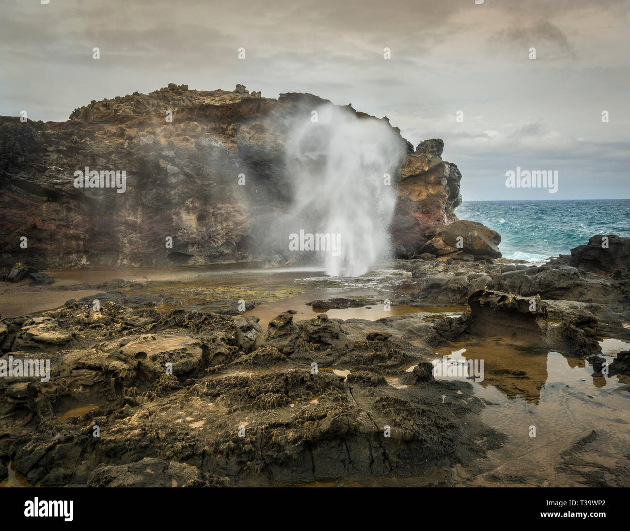 Acqua di mare sgorga dalla Nakalele Blowhole sulla costa nordorientale di Maui, Hawaii. Foto Stock