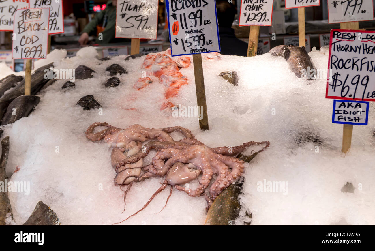 Pesce fresco su ghiaccio sul display a un mercato del pesce. Foto Stock
