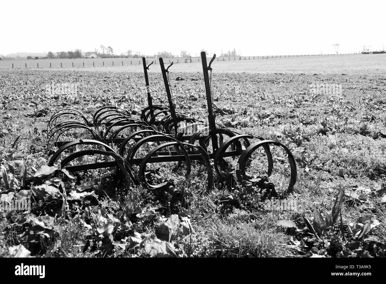 Vecchi attrezzi agricoli in bianco e nero Foto Stock