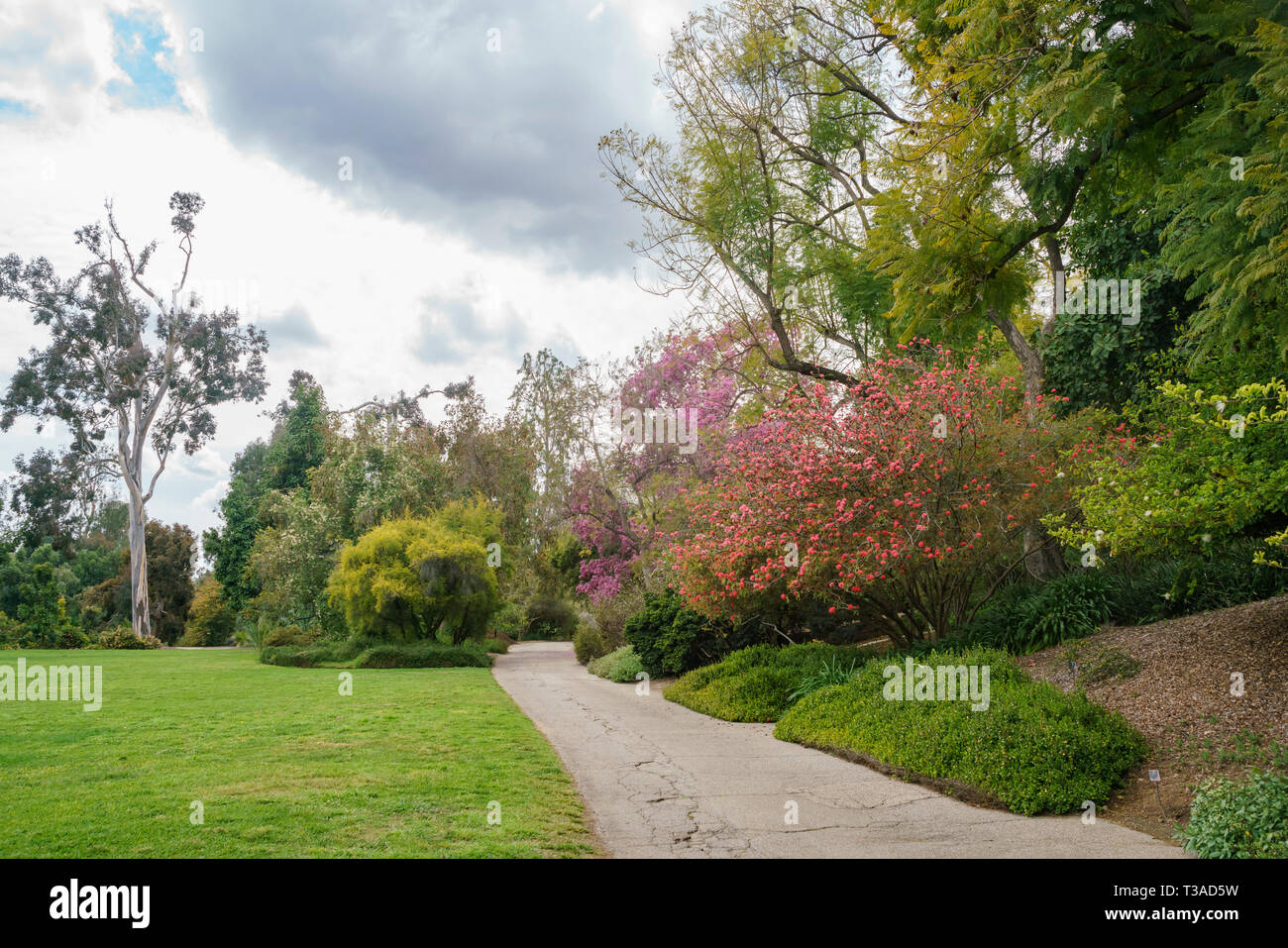 Scena naturale intorno a Huntington Library a Los Angeles in California Foto Stock