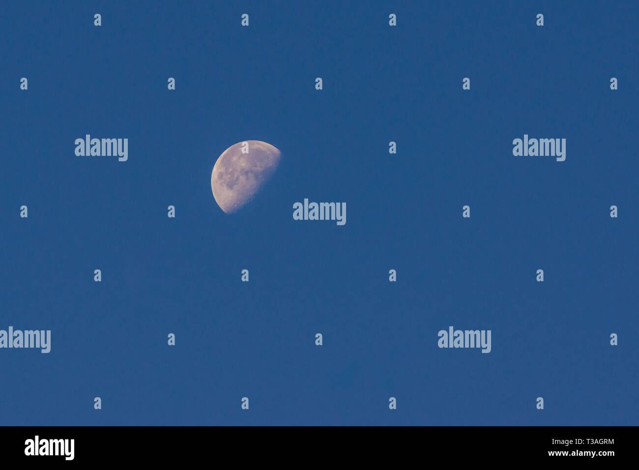 La luna nell'ultimo trimestre del mattino Foto Stock