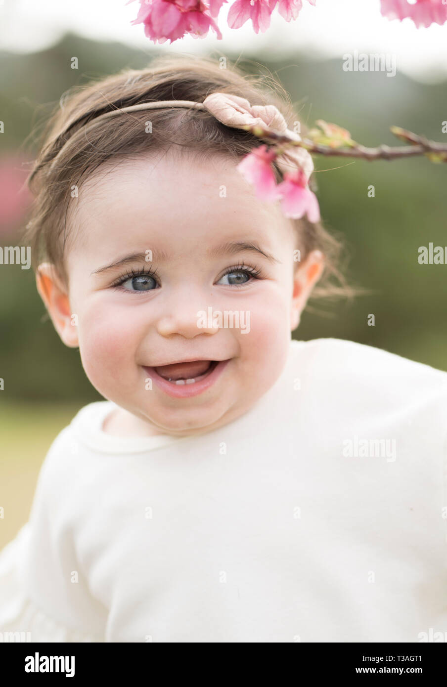 1- anno-vecchio toddler fuori con la fioritura dei ciliegi fiori Foto Stock