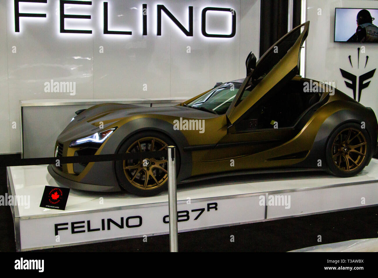 Edmonton Motor Show auto Premier- Felino vetture annuncia il felino cB7r, uno dei soli 10 essendo realizzata e prodotta in Laval Quebec, Canada. Vendita al dettaglio per $365.000 cdn, il felino cB7 è personalizzato, una sola auto alla volta, secondo i gusti e le richieste del cliente. Le vetture sono in grado di raggiungere velocità superiori a 300 km/h. 2 del cB7r sono già venduti e uno era già stato consegnato. La sua sorella modello cB7+ è più leggero e più potente. Foto Stock