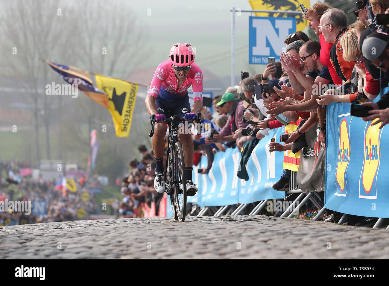 Oudenaarde- 7-04-2019, ciclismo, Ronde van Vlaanderen, Alberto Bettiol sulla strada per la vittoria nel Tour delle Fiandre Foto Stock