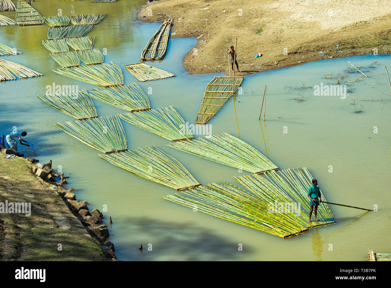 Trasporto di legname di bambù sul fiume, Chittagong, Divisione di Chittagong, Bangladesh Foto Stock