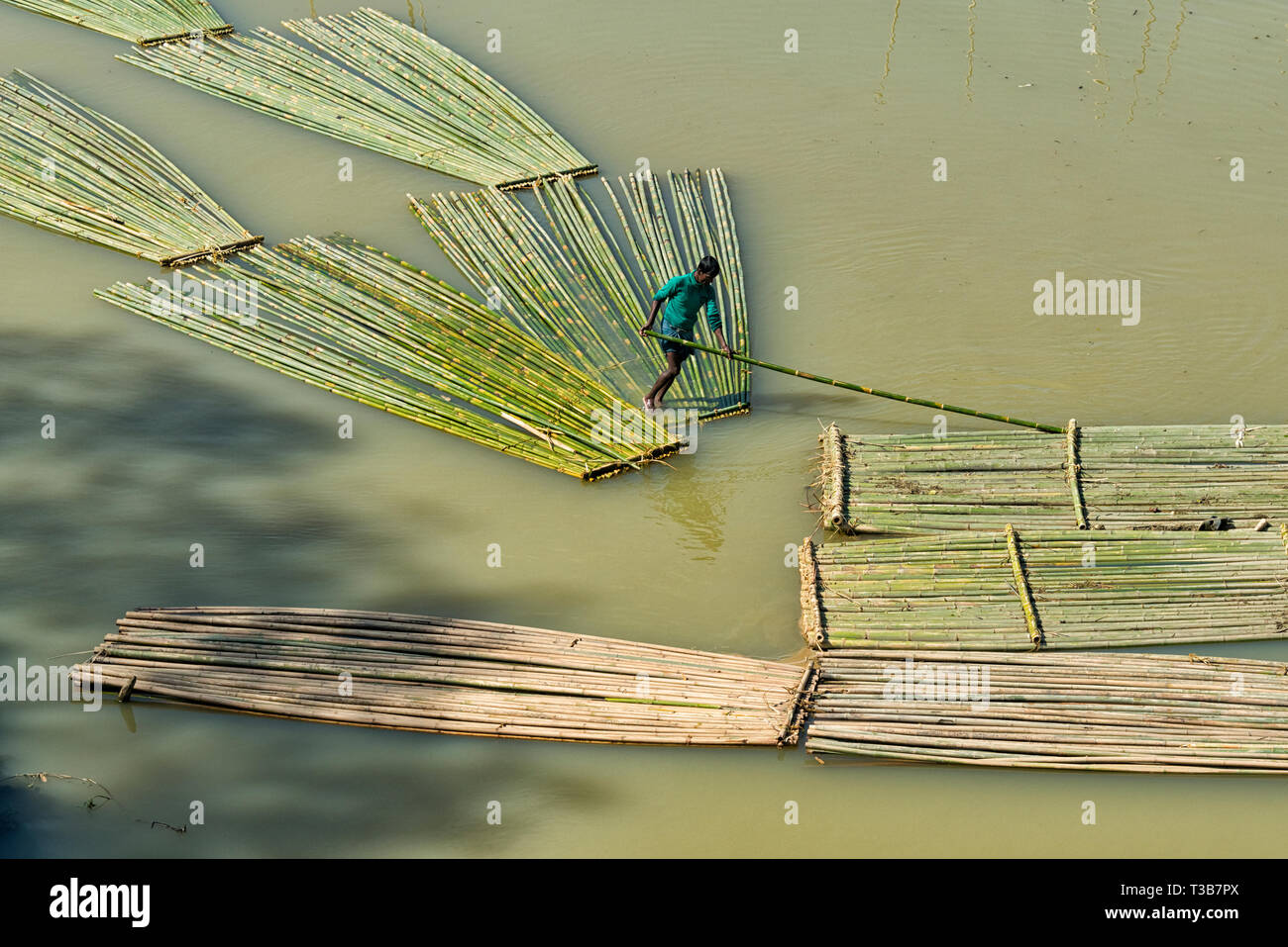 Trasporto di legname di bambù sul fiume, Chittagong, Divisione di Chittagong, Bangladesh Foto Stock