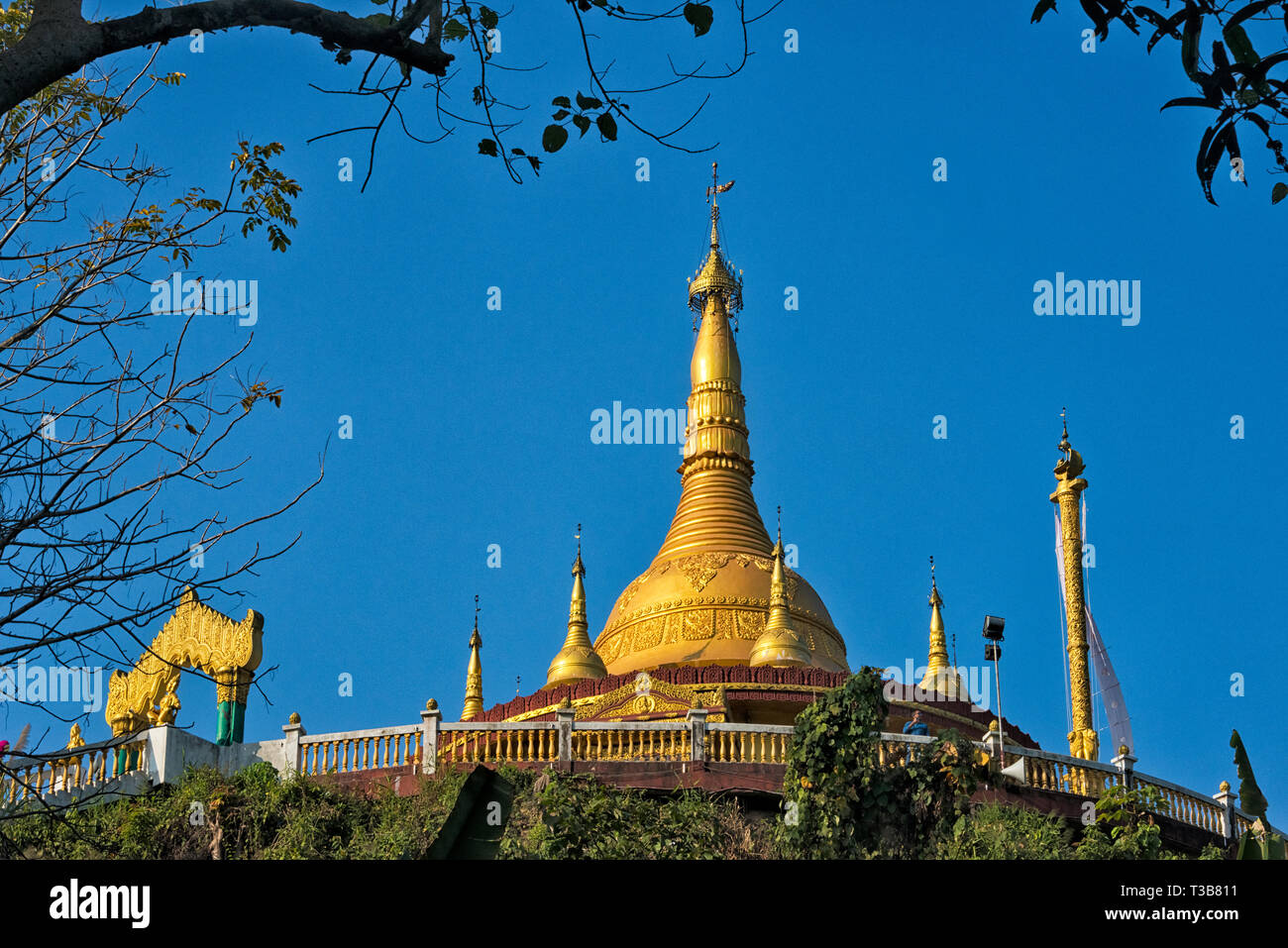 Tempio d'oro, il più grande Theravada tempio buddista in Bangladesh e ha il paese della seconda più grande statua del Buddha, Bandarban, Chittagong Division, Foto Stock