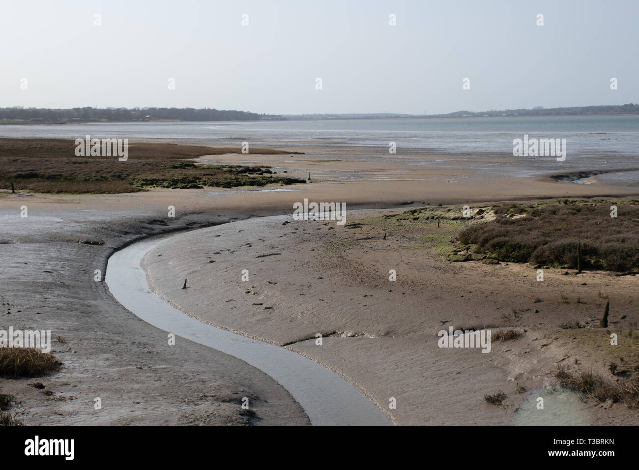 Flusso di avvolgimento in estuario fangoso a bassa marea Foto Stock